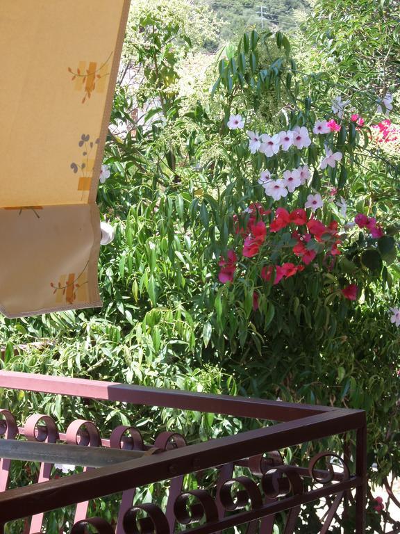 Stamoulis Apartments Agia Efimia Eksteriør bilde